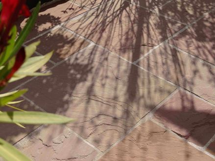 Modak sandstensplader, terrasse med plante i forgrunden