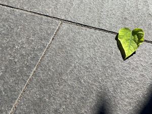 Terrasseplade af basalt Takeda fra oven med bladdekoration