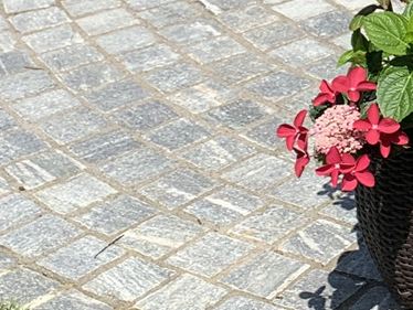 Galleri 1: Gneis Urban Grey Line-belægningssten i det grønne med blomster