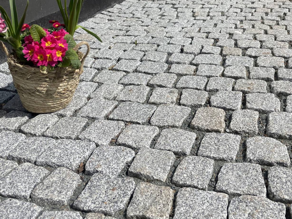 De lyse belægningssten har et moderne look med et rustikt touch. Foto af kunde Brolægning_granit Silver_Rustice_kørebane_nær_blomster