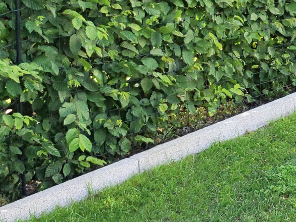 Græsplænekant granit Silver Classico skrå med græsplæne