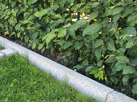 Græsplænekant Silver Granit Classico med græsplæne