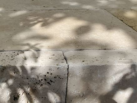 Kunde_foto_Grlitz_plæne_kant_lys_og_skygge