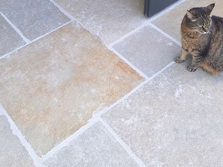 Kalksten_Java_Sand_Kat_Galleri 1