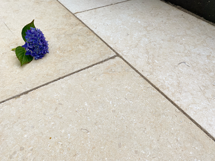 Kalksten-Royal-Beige-Hortensia-schrg3