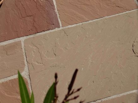 Gren stikker ud på terrasse lavet af rødlige sandstensplader