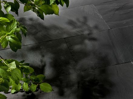 Split Black Rustic skiferplader og naturlige grene