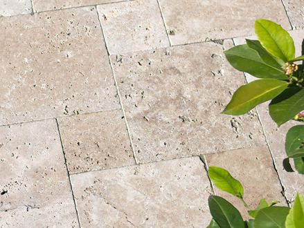 Travertinplade Medium nærbillede med planter