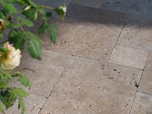 Den sene eftermiddagssol spiller på terrassens gulv, grene stikker ind i billedet fra højre