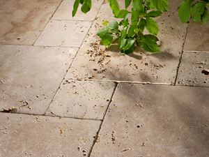 Rustikke travertinplader, tumlet, en grøn gren stikker ind i billedet fra oven