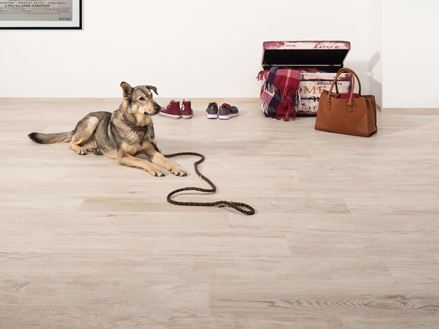 Indgangsparti med fine stenfliser i trælook, en hund liggende på gulvet, en kiste og en håndtaske i baggrunden