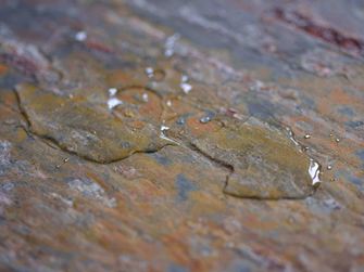 Badeværelsesfliser wet01