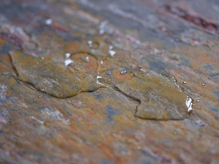 Badeværelsesfliser wet01