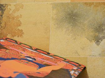 Nærbillede af Solnhofen-kalksten med fascinerende indeslutninger