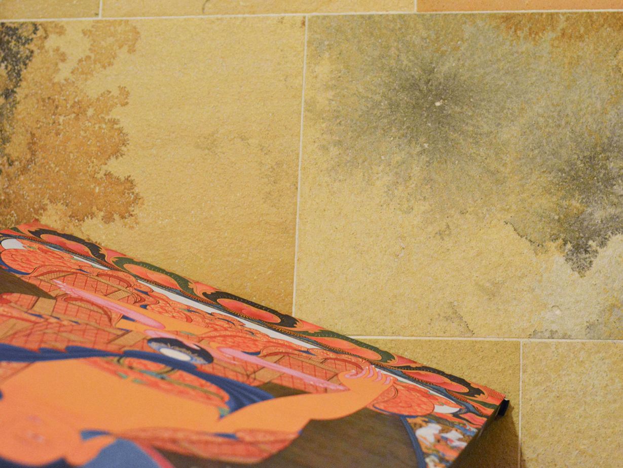 Nærbillede af Solnhofen-kalksten med fascinerende indeslutninger