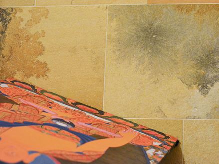 Nærbillede af Solnhofen-kalksten med fascinerende indeslutninger