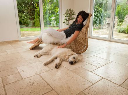 Light, kvinde på liggestol med hund