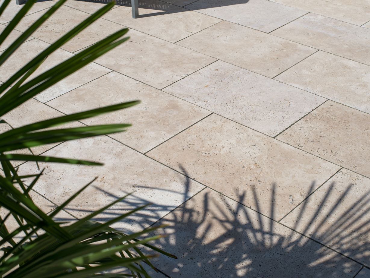 Palmer på terrassen af travertin