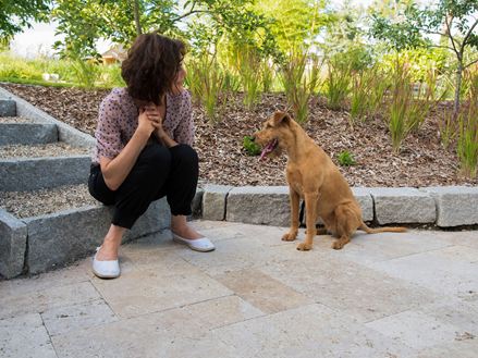 Mennesker og hunde nyder det smukke travertingulv