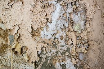 Natursten med udblomstring