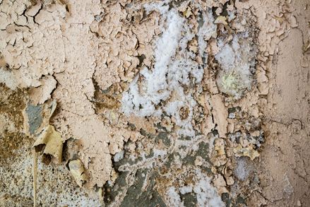 Natursten med udblomstring