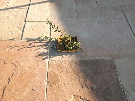 Plader Sandstone Modak split large